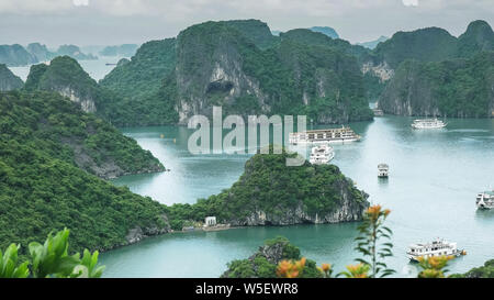 Osten Blick von Ti top Aussichtspunkt in Halong Bay Stockfoto