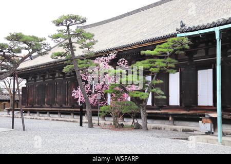 Aula der Sanjusangendo (Rengeo-in) buddhistische Tempel in Kyoto, Japan Stockfoto