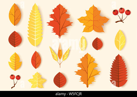 Herbstliches Laub set Stockfoto