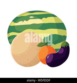 Frische früchte Wassermelone Melone Aubergine orange Vector Illustration Stock Vektor