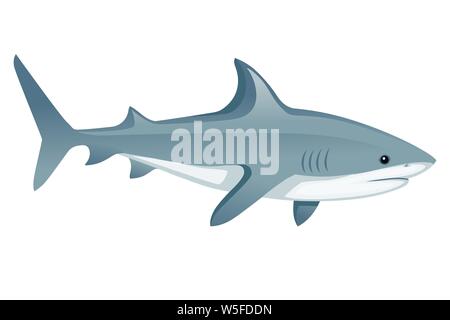 Hai mit geschlossenem Mund riesige Apex predator Cartoon animal Design flachbild Vector Illustration auf weißem Hintergrund. Stock Vektor