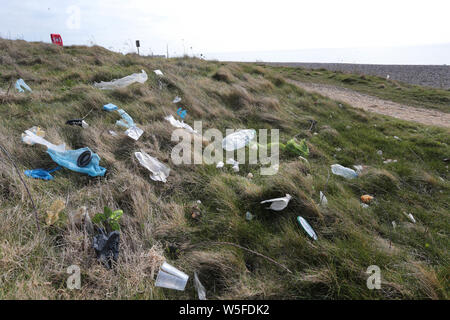 Wurf gestreut über Newhaven, East Sussex. Stockfoto