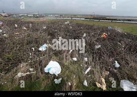 Wurf gestreut über Newhaven, East Sussex. Stockfoto