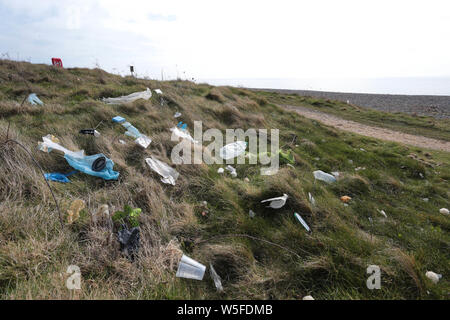 Wurf gestreut über Newhaven, East Sussex. Stockfoto