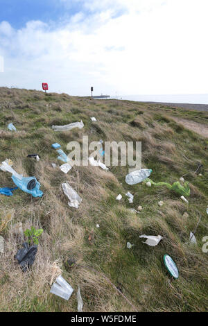 Wurf gestreut über Newhaven, East Sussex. Stockfoto