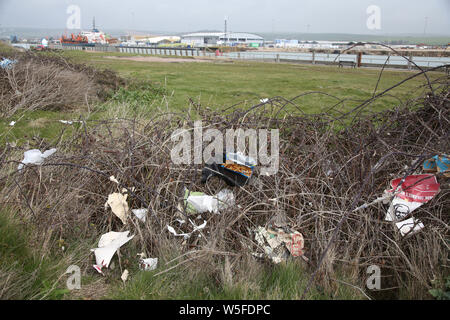 Wurf gestreut über Newhaven, East Sussex. Stockfoto