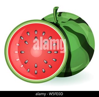 Wassermelone Obst bestand die Abbildung als EPS 10-Datei Stock Vektor