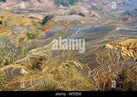 ------ Landschaft von terrassierten Reisfeldern der Yuanyang Reisterrassen in Yuanyang County, honghe Hani und Yi Autonomen Präfektur, Southwest China" Stockfoto