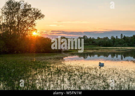 Italien, Friaul, Isonzo Estuary Regional Park, Isola della Cona Vogelschutzgebiet, Feuchtgebiet Stockfoto