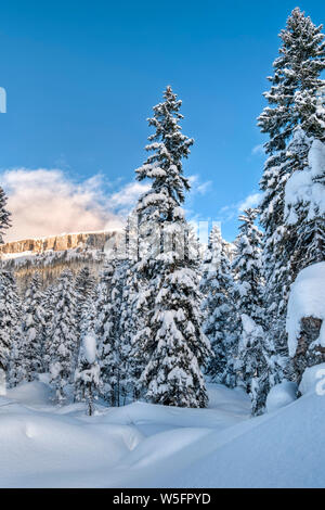 Österreich, Kleinwalsertal (Kleines Walsertal), Allgäuer Alpen, Schwarzwassertal, Bg.: Hoher Ifen (2.230 m) Stockfoto