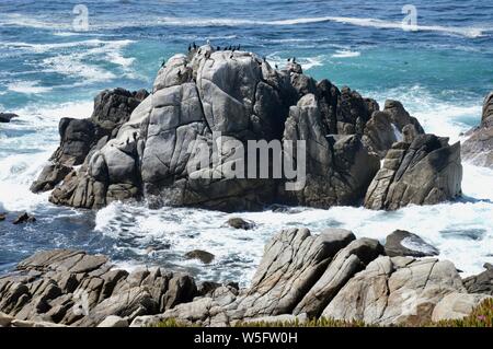 Schönen und Berühmten Bird Rock im südlichen Kalifornien Stockfoto