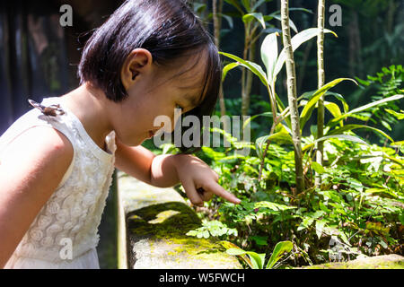 Asiatische kleinen chinesischen Mädchen beobachten Schmetterling am Zoo Stockfoto