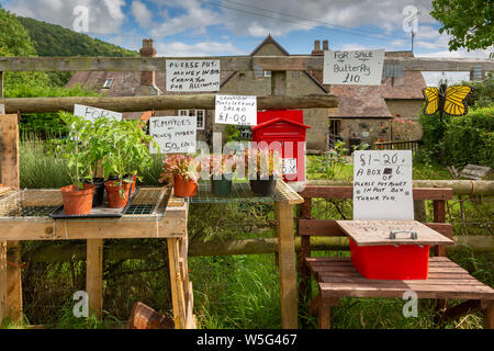 Eingang zu einem Haus, in der Nähe von Ludlow, Shropshire, Großbritannien, home Verkauf gemacht birdboxes und Pflanzen, mit einem Honesty Box. Stockfoto