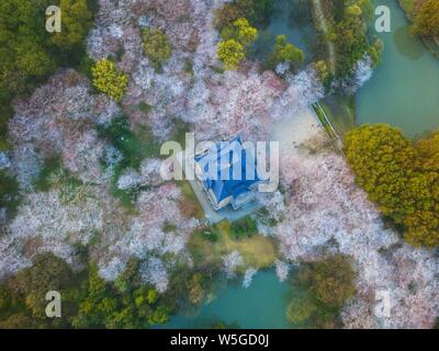 Landschaft der Yuantouzhu, oder 'Turtle Kopf Isle", China's Top Tourist Resort anzeigen Cherry Blumen blühen an den Ufern des Taihu See in Wuxi Stockfoto