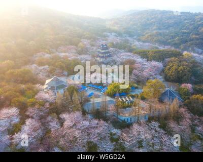 Landschaft der Yuantouzhu, oder 'Turtle Kopf Isle", China's Top Tourist Resort anzeigen Cherry Blumen blühen an den Ufern des Taihu See in Wuxi Stockfoto