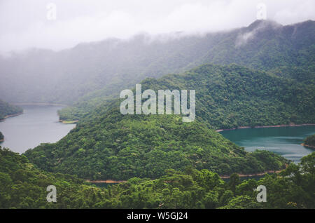 Misty Landschaft durch Tausend Island Lake in Taiwan, Asien. See im Nebel durch tropischen Wald, Regenwald umgeben. Moody Wetter. Vintage Retro, hipster Style. Stockfoto