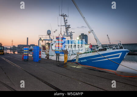 Die Stadt Cork, Cork, Irland. 29. Juli, 2019. Die Mannschaft des Trawlers Atlantic Rose Laden leer fischen Boxen auf das Deck, wie Sie Ihr Boot vorbereiten für die Fischgründe auf der Horgan Quay in Cork, Irland zu verlassen. Kredit; David Creedon/Alamy leben Nachrichten Stockfoto