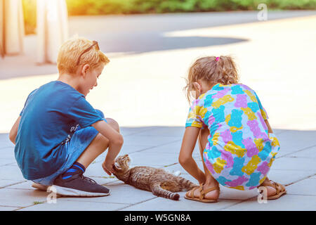 Zwei Kinder spielen im Freien mit heimatlosen Katze - Junge und Mädchen streicheln streunende Kätzchen in park-Konzept der Liebe zwischen pet und Menschen Freunde Stockfoto