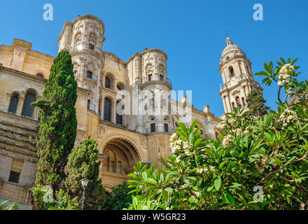 Blick auf die Kathedrale von Malaga - Römisch-katholische Kirche in der Stadt Malaga. Andalusien, Südspanien Stockfoto