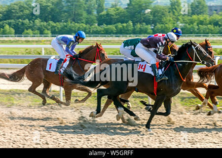 Pferderennen in Pyatigorsk, nördlichen Kaukasus, Russland. Stockfoto