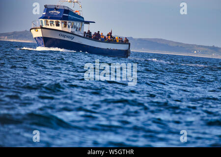 Der Staub Warenkorb Trophy - Scilly-inseln ist Freitag Männer Pilot Gig Rennen Stockfoto