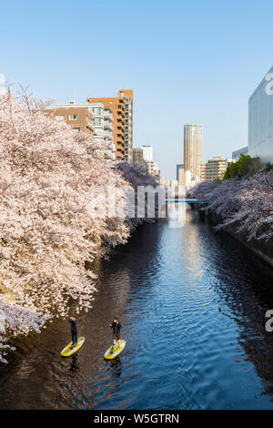 Am frühen Morgen auf dem Meguro Fluss, Tokio, Japan, Asien Stockfoto