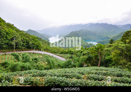 Tausend Insel See umgeben von Teeplantagen und tropischen Wald, Taiwan, Asien. Moody Landschaft. Taiwanesische Natur. Reiseziele. Oolong Tee Plantage. Stockfoto