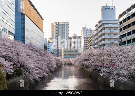 Am frühen Morgen auf dem Meguro Fluss, Tokio, Japan, Asien Stockfoto