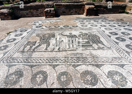 Mosaik, Aula dei misuratori del Grano (Körnung m Zimmer), Ostia Antica archäologische Stätte, Ostia, der Provinz von Rom, Latium, Italien, Europa Stockfoto