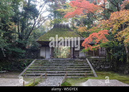 Herbst Farbe in Honen-in Tempel, ein buddhistischer Tempel befindet sich auf der Philosoph's Walk, Kyoto, Japan, Asien Stockfoto