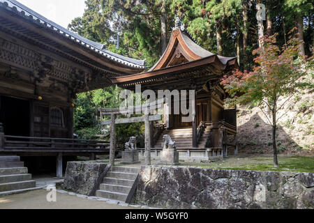 Shoshazan Engyo-ji Tempel auf dem Berg Shosha, Himeji, in Kansai, Japan, Asien Stockfoto