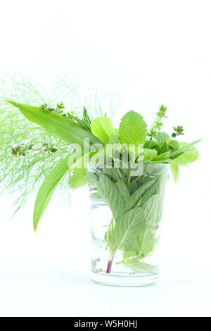 Frische Kräuter im Glas isoliert auf weiss Stockfoto