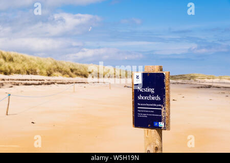 Zeichen für nistende Vögel (Terns) in roped weg Vogelschutzgebiet in Sanddünen am Strand an der Nordostküste. Beadnell, Northumberland, England, Großbritannien, Großbritannien Stockfoto