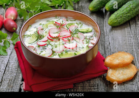 Joghurt kalte Suppe mit frischem Gemüse Stockfoto