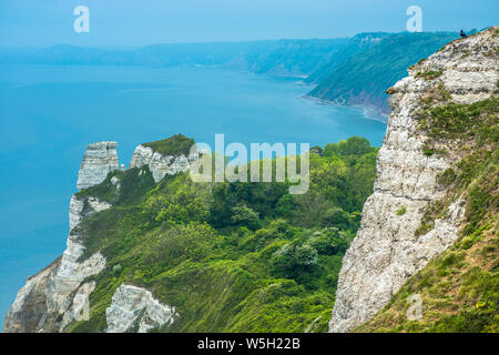 Bier Kopf gegen Branscombe Mund, zwischen Bier und Branscombe auf der Jurassic Coast, Weltkulturerbe der UNESCO, Dorset, England, Großbritannien Stockfoto