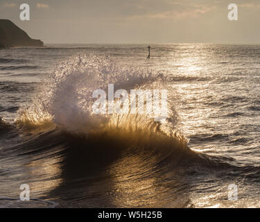 Wellen Gegenlicht der Sonne reflektieren Dawn aus dem Meer an der Wand und die Auswirkungen einer eingehenden, Exmouth, Devon, England, Vereinigtes Königreich, Europa Stockfoto