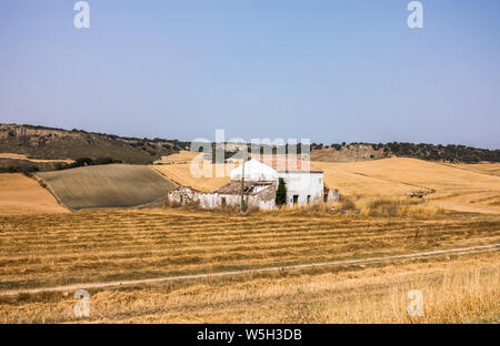 Trockene Landschaft mit weißen Bauernhaus in der Nähe von der spanischen Stadt Ronda, Andalusien, Spanien. Stockfoto