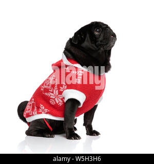 Seitenansicht eines neugierigen Mops nach oben blicken und warten auf eine Behandlung beim Tragen einer Jacke und Weihnachten sitzen auf weiße studio Hintergrund Stockfoto