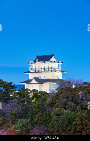 Burg Odawara, Odawara, Präfektur Kanagawa, Honshu, Japan, Asien Stockfoto