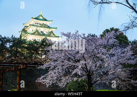 Kirschblüte in Nagoya Castle, Nagoya, Aichi Präfektur, Honshu, Japan, Asien Stockfoto