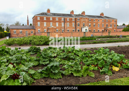 Der Gemüsegarten vor der Fassade der Southwell Workhouse, Southwell, Nottinghamshire, England, Großbritannien Stockfoto