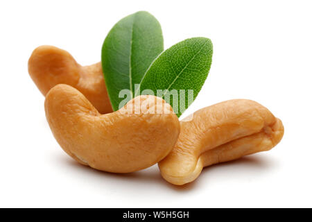 Geröstete Cashewnüsse und Blatt auf weißem Hintergrund Stockfoto
