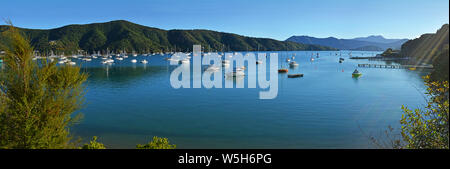 Landesinneren Bucht am frühen Morgen Panorama mit Wellen von Sonnenlicht, Marlborough Sounds, Neuseeland Stockfoto