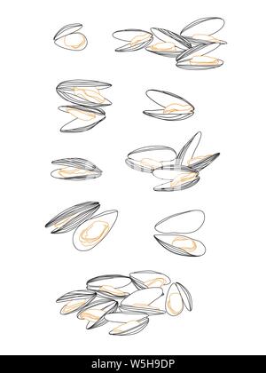 Einfache und detaillierte Muscheln Skizze auf Weiß. Isolierte Muscheln einfache Breite Line Design Stock Vektor
