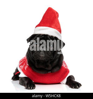 Schöne Mops zur Festlegung und Blick in die Kamera beim Tragen eines Weihnachten Jacke und Hut auf weißem Studiohintergrund Stockfoto