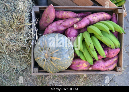 Grüne Banane, Kürbis und Kartoffel im rustikalen Holzkiste Stockfoto