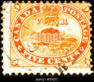 Biber bei sehr alten kanadischen Briefmarke Stockfoto