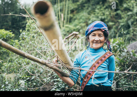 Sapa, Vietnam - Mai 2019: alte Frau aus der ethnischen Gruppe der Hmong in traditioneller Kleidung trägt Holz in Lao Cai Provinz. Stockfoto