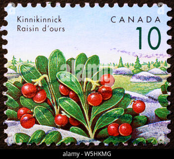 Rote Beeren auf kanadischer Briefmarke Stockfoto