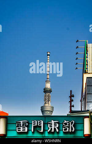 Tokyo, Japan - 11. Mai 2019: toller Blick auf den Himmel Baum nahe Sensoji Schrein. Sensoji ist Asakusa die Hauptattraktion, ein sehr populärer buddhistischer Tempel. Stockfoto